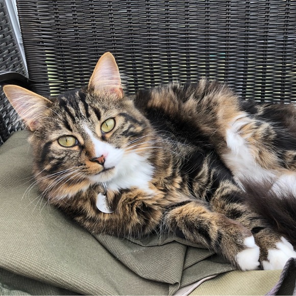 Meet your Posher, Pénélope - Picture 3 of 4